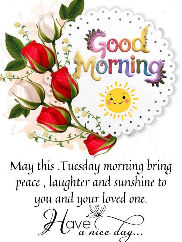 Happy Tuesday Morning Blessings image with flowers